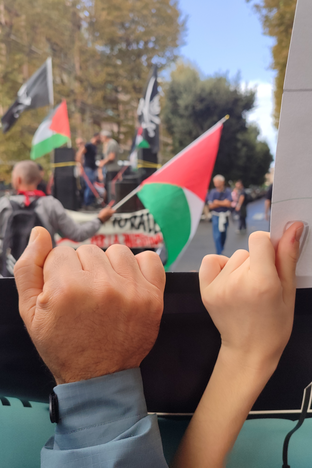 Oggi scendiano in piazza manifestazione sulla Palestina