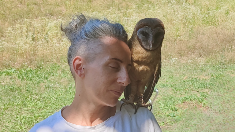 Impariamo dalla natura. Una giornata alla scoperta dei rapaci e del loro insegnamento di vita. Grazie All'Associazione Ali della notte in Friuli.